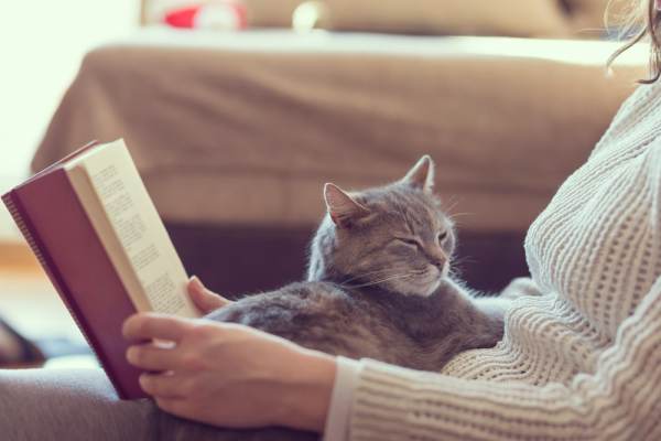 Gato doméstico sentado en el regazo de una mujer leyendo